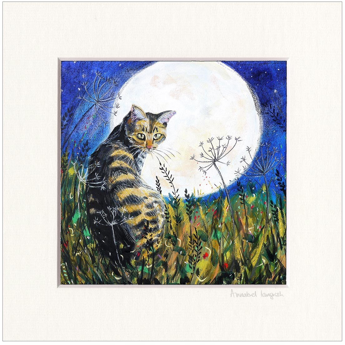 Cat & Moon | Annabel Langrish