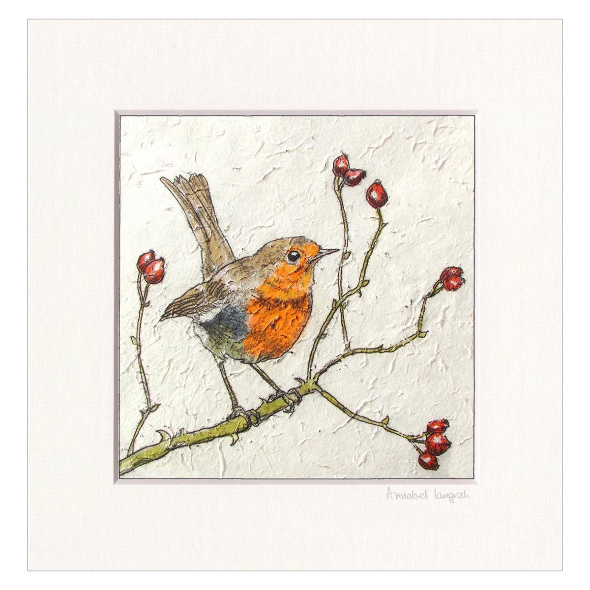 Robin and Rosehips | Annabel Langrish