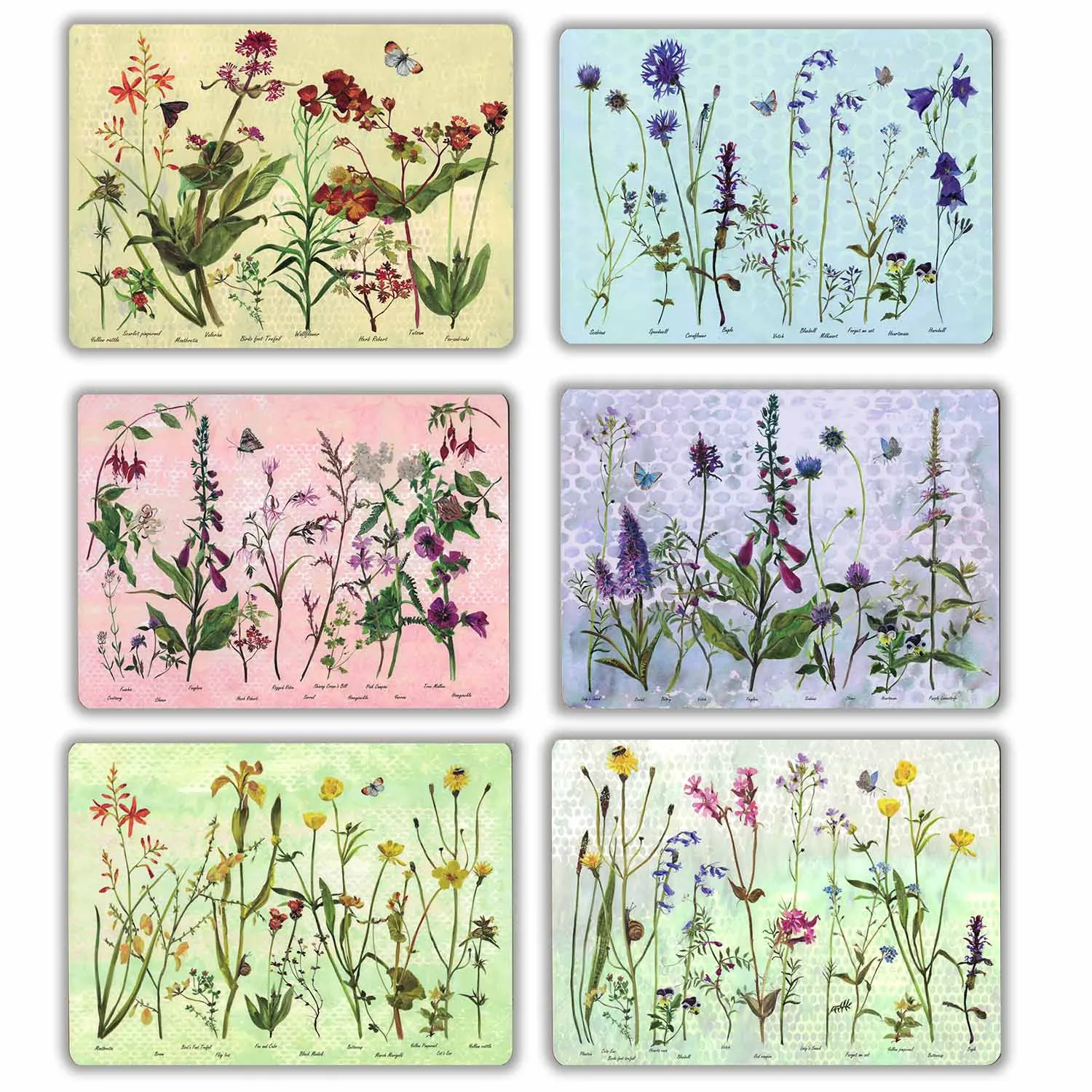 Wildflower Placemats (Set of 6) | Annabel Langrish 