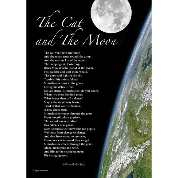The Cat and the Moon | W.B Yeats
