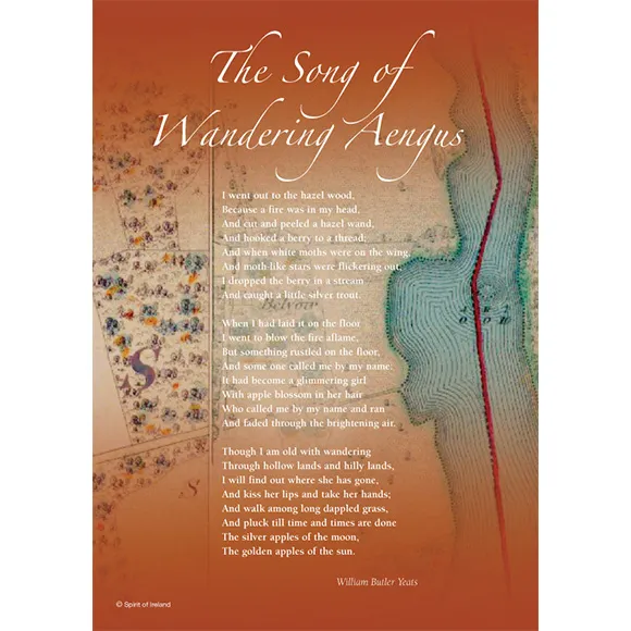 The Song of Wandering Aengus | W.B Yeats